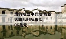 加的斯盘中异动 股价大跌5.56%报3.06美元